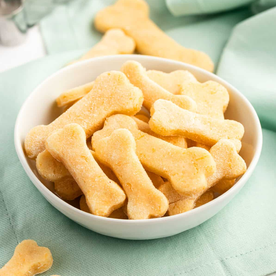 Puppy Cheese Biscuit